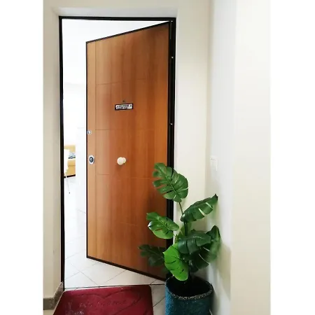 Holihome_chicky House Frn